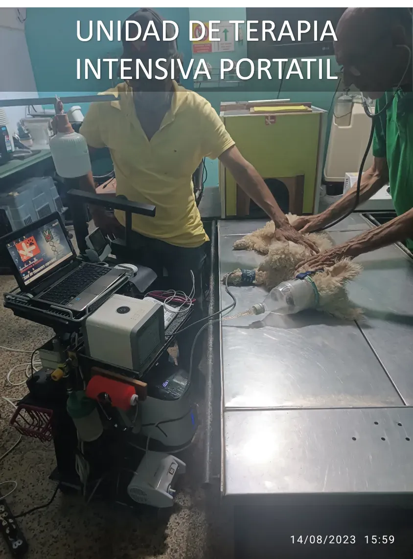 Terapias Respiratorias